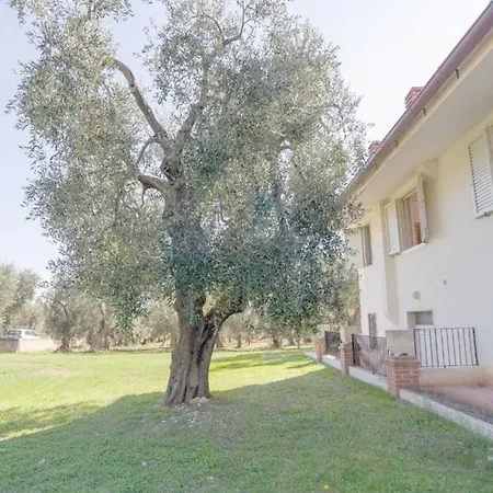 Casa Tra Gli Ulivi Ferienhaus